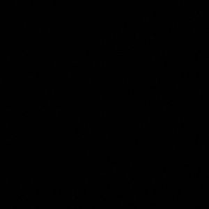 Meet your Posher, Roselyn